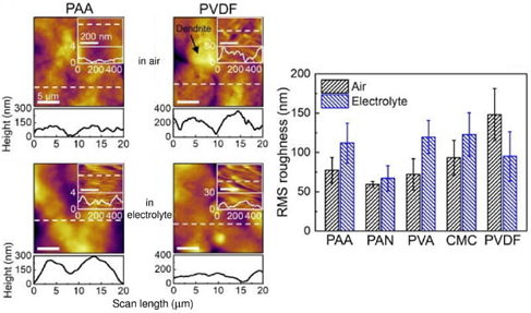 左:聚合物粘合剂的形貌图,线段对应横截面;右:从形貌图确定的RMS粗糙度