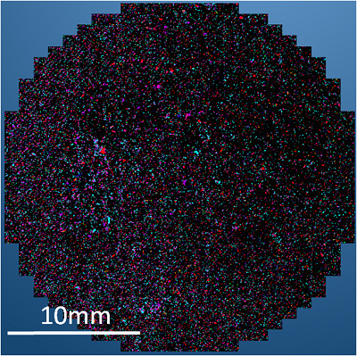 Montaged image of an entire filter holding detected partcles Montaged image of an entire filter holding detected partcles