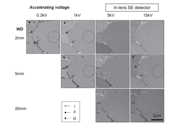 In-lens SE images of the same region of the 2.25Cr-1 Mo steel specimen In-lens SE images of the same region of the 2.25Cr-1 Mo steel specimen