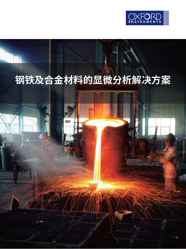 钢铁及合金显微分析 - 宏观至微观的高级解决方案