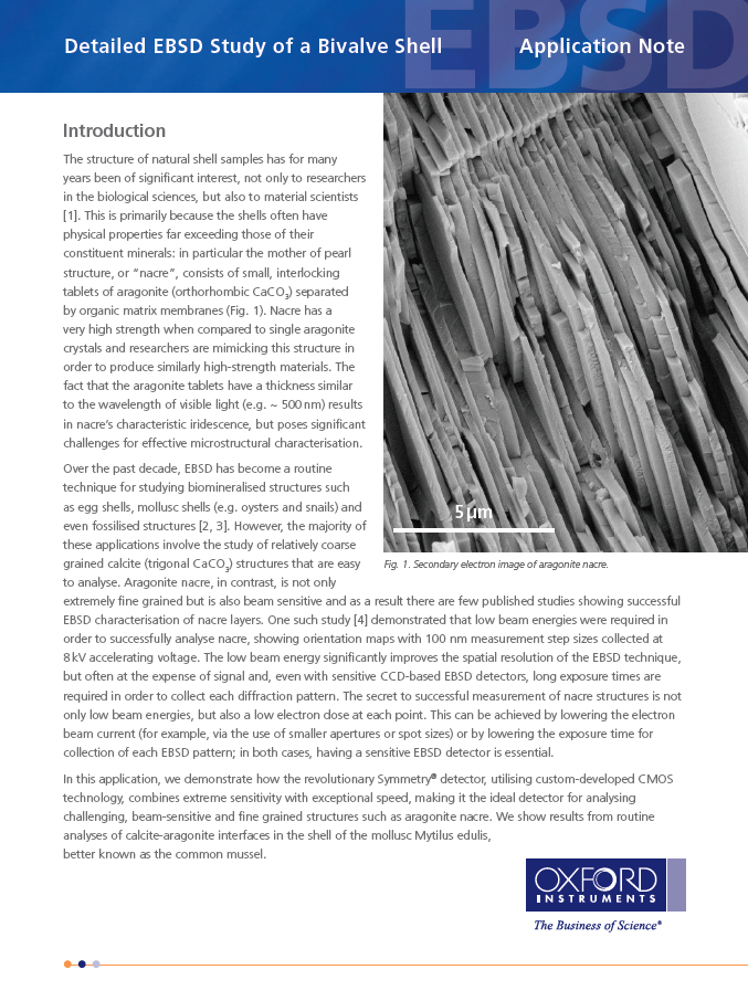 Detailed EBSD Study of a Bivalve Shell