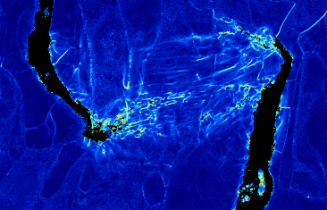 双相钢断裂尖端应变分析