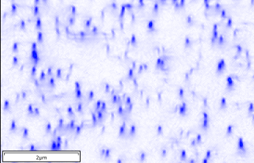 氮化镓（GaN）薄膜中的螺位错